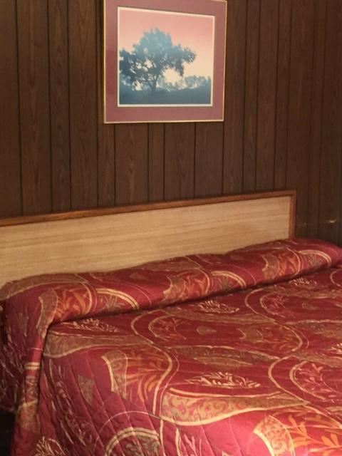 Plantation Motel Candler Exteriér fotografie